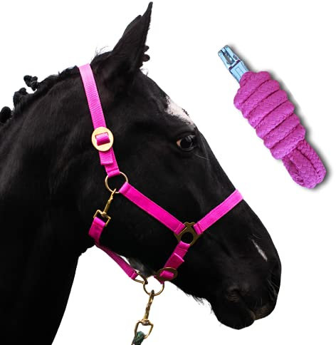 Halfter für Pferde mit Strick | Führstrick Pferd mit Halfter | Halfter Shetty, Pony, Vollblut, Full, X-Full mit Strick (Pink, Shetty)
