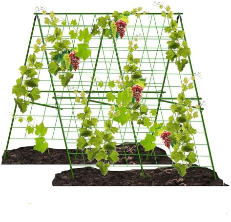 Tuteur de concombre en métal - Treillis pour concombres, plantes grimpantes - Tuteur de tomates - Support pour fleurs et plantes utiles