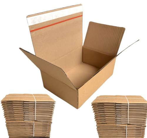 100 Stück Automatik Karton in 160x130x70mm - Versandkartons mit selbstklebendem Deckel für den Warenversand, Versandkarton klein, kleine Pakete für Versand, Dhl Karton, Kartonagen Deutsche Post Paket