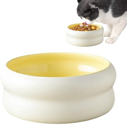 Kattmatskål Keramisk Hundmatskål, Mikrovågssäker, Vattenskål, Husdjur, Valp