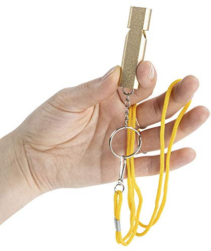 LionSports Zwei hygienische Signalpfeifen, Trillerpfeife in Silber und Gold mit Schlüsselanhänger und Aufbewahrungsbox – Verbesserte Konstruktion für EIN klares und lautes Signal