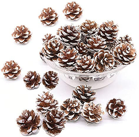 48 Stück Weihnachten Tannenzapfen Dekoration Natürliche Tannenzapfen Natürliche Anzapfen mit Schnur Kiefernzapfen Tannenzapfen mit Schnur Ornamente für Weihnachten Party Hängende Dekoration (Weiß)
