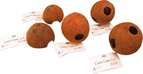 JBL 61513 Kokosnuss-Schale als Höhle für Aquarien und Terrarien, Cocos Cava 1/1 L