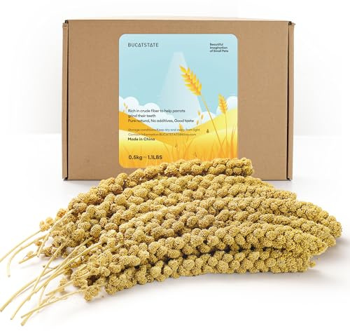 BUCATSTATE Millet Spray for Birds, Sun-Dried Healthy Millet Budgie Food Treats for Parrots Cockatiel Lovebird Finch, GMO-Free Parakeet Food Seed- 500g