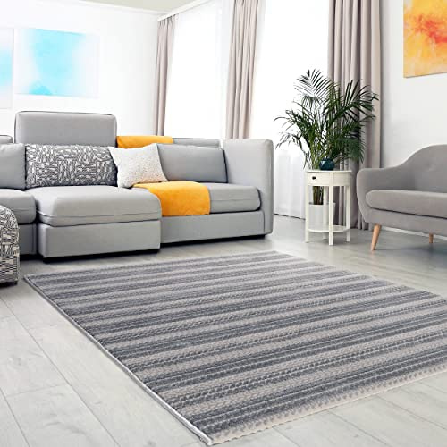 Mynes Home Vävmatta vardagsrumsmatta i grått silver – 3D geometriska linjer mönster, storlek löpare: 80 x 150 cm