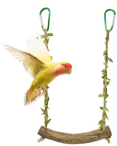 Balançoire à Oiseaux pour perroquets – Perchoir à Oiseaux de 1,8 cm pour Perruche | Accessoires de pour Cage à Oiseaux | Perchoir pour perruches, calopsittes, pinsons, Fournitures pour Animaux
