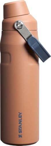 Stanley IceFlow Fast Flow Water Bottle 24 oz | Angled Spout Lid | Lightweight and Leakproof for Travel and Sports | Insulated Stainless Steel | BPA-Free | Toast VRT