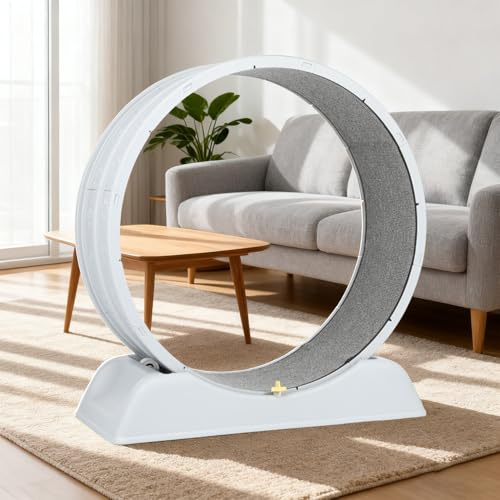 Ruedas de gato para gatos de interior, 80 x 80 cm, rueda de plástico para ejercicio de gato, con alfombra de pista para gatitos, ejercicio diario y pérdida de peso (gris gris)