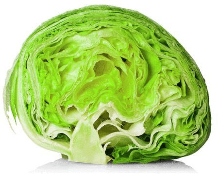 Iceberg laitue 1000 tête - 40 000 graines en vrac Heirloom nettes non OGM en bonne santé