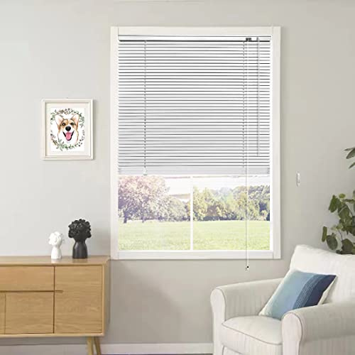 YIIBAII Mini Blinds Suitable for 33 W x 64 H Windows 1 Aluminum Horizontal Venetian Blinds Darkening with Rope and Pole can Mounted Inside or Outside