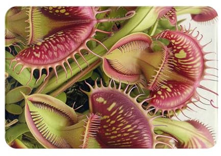 DCEHGEW Tapis de porte d'entrée imprimé plante carnivore tapis de bienvenue extérieur intérieur paillasson tapis de sol antidérapant tapis de salle de bain 61 x 40,6 cm