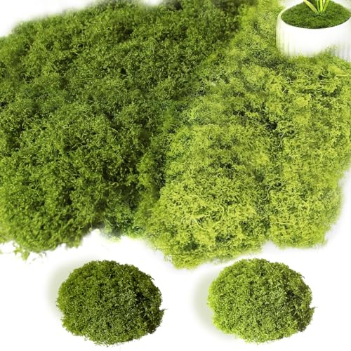 Luxoraiova Konstmossa 200 g för pyssel och dekoration, 2 färger mörkgrön och ljusgrön, konstgjord mossa för modelltillverkning, krubba, akvarium, dekorativ vägg, miniatyrträdgårdar