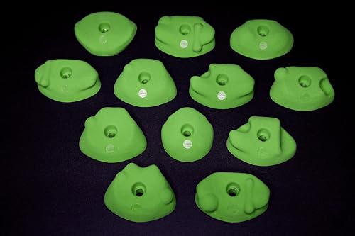 Wandwunder 12M Klettergriffe Bouldern grün