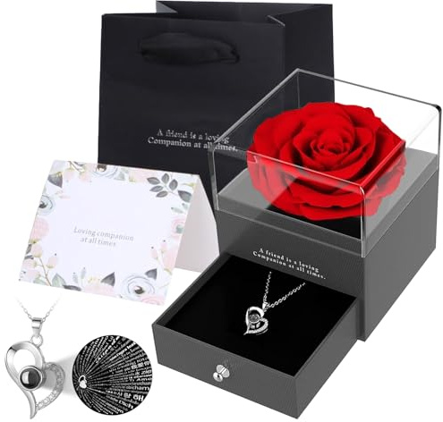 Zynxel Coffret Eternelle de Roses avec Bijoux, Collier Femme boîte de Roses,Pendentif Coeur avec Rose Conservée,Rose Stabilisée Rouge,Cadeau pour Elle la Noël,La Saint-Valentin,Fête des