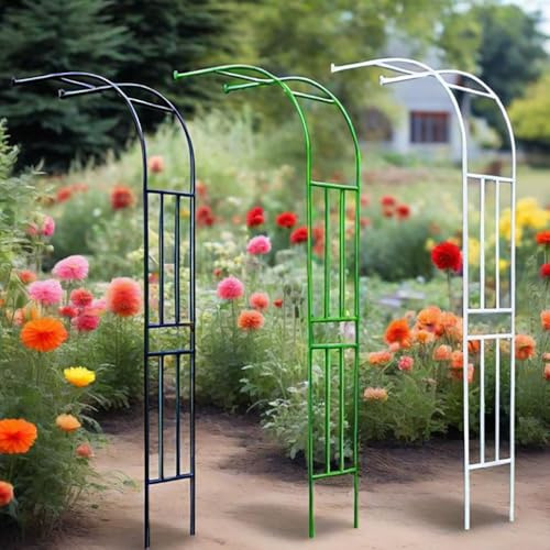 Arco de jardín de metal resistente a la intemperie, árbol de rosas de media luna para plantas trepadoras, soporte de pera, decoración al aire libre, verde, 60 x 240 cm, perfecto para césped y jardines