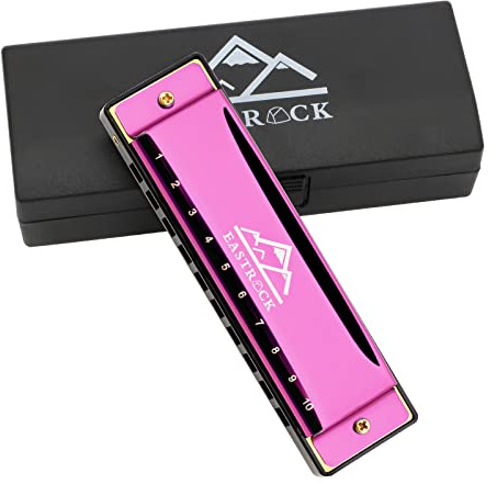 EastRock Mundharmonika 10 Löcher C Schlüssel mit Etui diatonische Mundharmonika für professionelle Spieler Anfänger Geschenke für Studenten, Freunde, Erwachsene (Rosa)