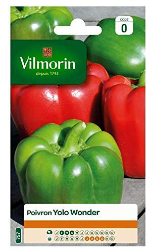 Vilmorin : Poivron Yolo Wonder