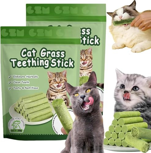 2026 New Cat Grass Teething Stick, Cat Grass Sticks for Indoor Cats, Natural Catnip Chew Sticks,Edible Cats Chew Toy Cat Treats Snack for Hairball Removal, Cadental Care, Increase Appetite (2 Box)
