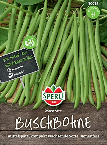 Sperli Mascotte 80089 Graines de haricot sauvage - Variété résistante - Sans fil - Compactes - Environ 15 cm - Graines de légumes, semences, légumes