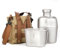 Keith Titanium Canteen Wasserflasche Lunchbox Camping Topf Camping Wasserkocher Militär Flasche Ti3060