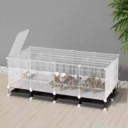 Pollai in Metallo Gabbia per polli Rimovibile con Fessura criptata da 1,3 cm, Piccola casa per Animali, recinto per Anatre, Gatti, Conigli, per Conigli, Anatre, Pulcini, quaglie, Facile da i