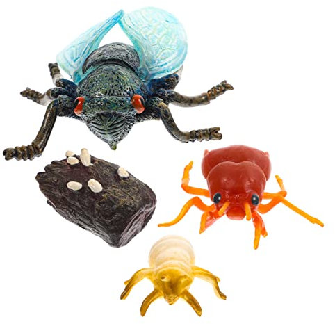 ULTECHNOVO Nachahmung Zikaden Wachstumszyklus Modellen Spielzeug Für Junge Mädchen Pädagogische Tier Modelle Simulation Handwerk Lehrmaterial Evolutionsmodell