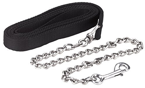 Kerbl Führleine mit Kette, schwarz, 250cm, 250 cm