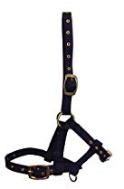 Hy Foal Head Collar (One Size) (Black)