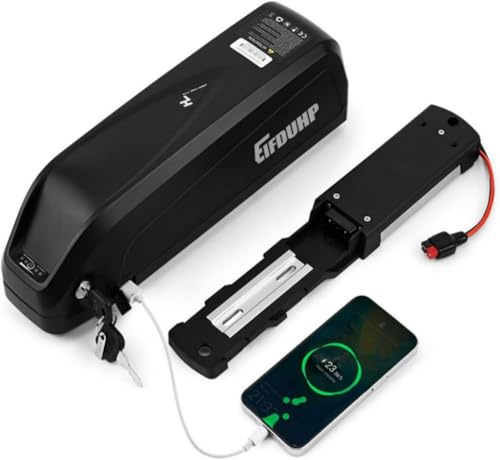 Elcykelbatteri på 36 V/48 V, batteripaket med laddare, basplatta med 4 eller 5 stift, säkerhetslås och batterinivåindikator, för motorer på 50–1 500 W (36 V, 22,5 Ah för 0–750 W, 5 stift)