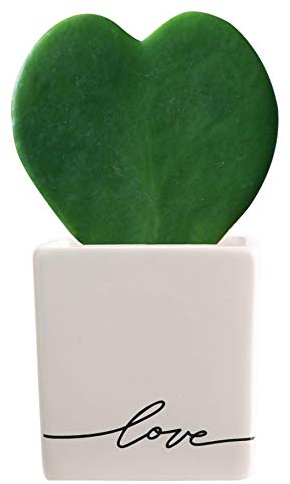 Costa Farms Live Indoor Plant Hoya Heart, Succulent-Like Houseplant in Modern Decor Love Planter, Room Décor, Desk Décor, Birthday, Unique Gift, Excellent Tabletop Size, Room Décor, 5-Inches Tall