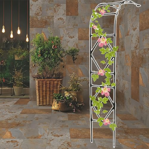 Arco de jardín de metal de 90-300 cm para plantas trepadoras, medio arco negro, marco de acero de 20 mm, montaje en pared, 260 x 240 cm, decoración de jardín