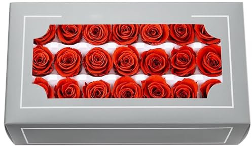 FORTTS Lot de 21 roses éternelles naturelles de qualité supérieure de 2 à 3 cm, roses éternelles pour la fête des mères, la Saint-Valentin, un anniversaire, un mariage, une fête, une décoration