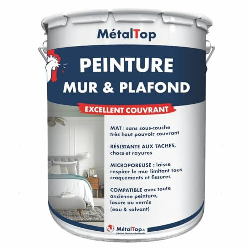 Metaltop - Peinture Mur Et Plafond - Marron - RAL 8015 - Pot 1 L