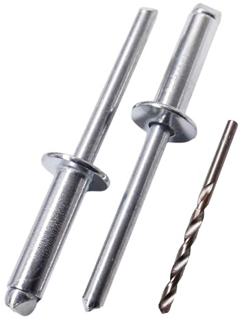 SKIR'CO (200 pz) Rivetti ciechi in acciaio zincato 6,0 x 20 mm, mandrino in acciaio, rivetti a strappo, testa a cupola, rivetti DIN 7337, punta per trapano inclusa