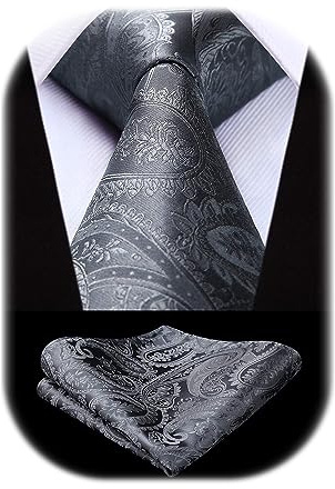 HISDERN Cravatta Grigia Paisley Cravatta Uomo Elegante Set Cravatte Seta e Fazzoletto con Pochette Classiche per Matrimonio Festa Lavoro