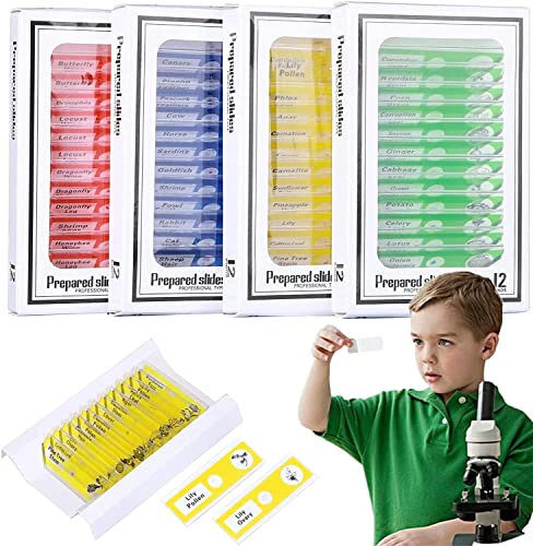 48 Stück Mikroskop Objektträger Biologischen, Mikroskop Probe Folie, Kinder Mikroskop Objektträger, Kinder Objektträger Biologischen, für Labor Biologie und Wissenschaft Studium