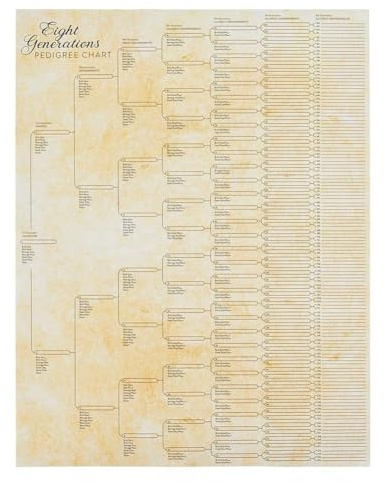 Familjeträd diagram att fylla i, kompakt 8 generation stamtavla tabell, tom antik Yo släktforskning fyllbar byggdiagram till diagram