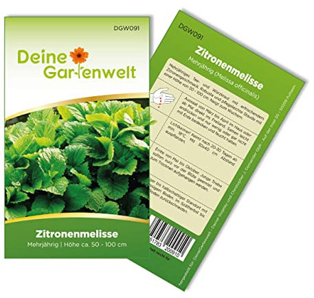 Zitronenmelisse Samen - Melissa officinalis - Zitronenmelissesamen - Kräutersamen - Saatgut für 150 Pflanzen