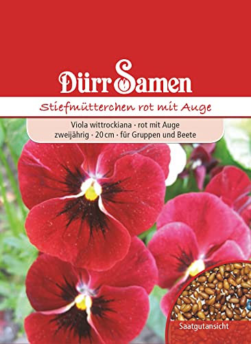 Stiefmütterchen Samen Rot mit Auge Stiefmütterchensamen Veilchen ca 200 Korn Saatgut Blumensamen Garten Hochbeet Balkonkasten Kübel Dürr Samen