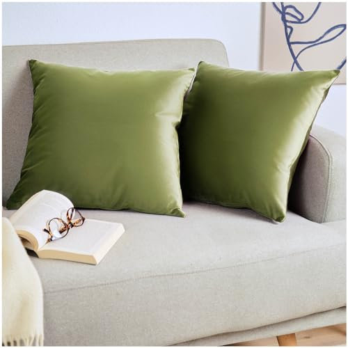 Blumtal 2er Set Kissenbezug 40x40 cm Grün - dekorativer Samt Kissenbezug mit verstecktem Reißverschluss, Kissenhülle für Zierkissen Deko-Kissen Polster Sofakissen & Couchkissen, waschbar
