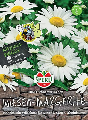 Sperli 86020 SPERLI Plante de marguerite blanche de neige idéale pour les prairies sauvages ou les jardins naturels et fermiers