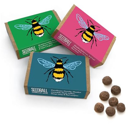 SEEDBALL Bienen-Mix Wildblumen-Samenbomben (3er-Pack, 6 Bälle pro Box) | Umweltfreundliche britische, gemischtes Saatgut in jeder Box für Bienen, Vögel und Wildtiere im Garten - Gartengeschenke