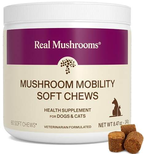 Real Mushrooms Mobility Chews for Dogs & Cats – Green Lipped Mussel & ErgoGold Mushroom Blend – Dogs & Cat Vitamins Treats for Active Routines – Joint, Hip & Flexibility Support – 240 ct Supplement