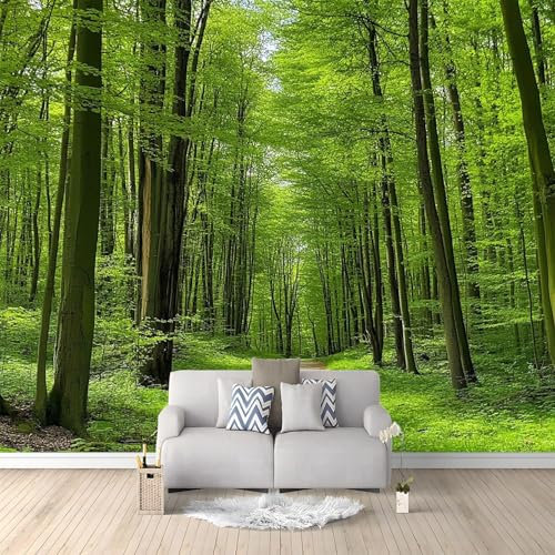 Papel Tapiz Fotográfico Fotomurale Paisaje Natural Bosque Camino De Tierra 250 x 175 cm Art Mural Cafe Restaurant Dormitorio Decoración para el Hoga Murales Papel Pintado a Papel Fotomural Dormitorio