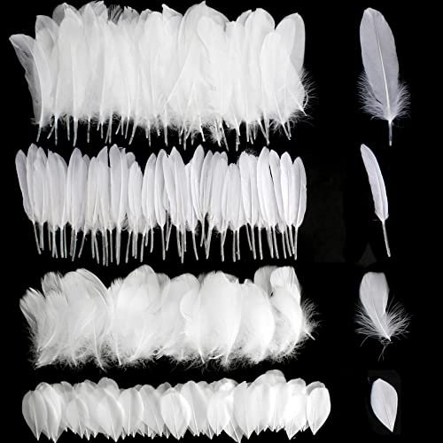 Wei? Federn zum Basteln 300 St¨¹ck Nat¨¹rlich G?nsefedern Dekorationen Bastelfedern 5-20CM Natur Wei?e Federn Deko f¨¹r Traumf?nger DIY Basteln Hochzeit Party Handwerk Schmuck Zubeh?r (4 Stile)