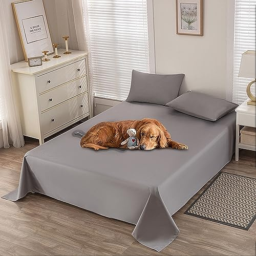 MENAYODA Vattentät Hundfilt 200 x 230 cm, Urinresistent för Soffa, Säng, Halkfri, Tvättbar för Katter och Hundar (230 x 250 cm)