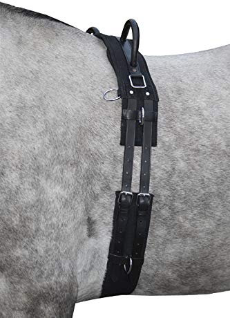 HKM 12701 Longiergurt Canvas, Fester Doppelgriff Longierbedarf Schwarz Pony, 1 Stück (1er Pack)
