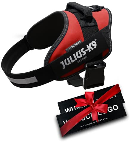 JULIUS K-9 IDC Powergeschirre Rot mit individuelle Klettaufschriften Bundle optionale Größe, 16IDC+CUSTOMP-R, Kleine, mittelgroße, und große Hunde
