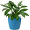 KONZEPT Grand pot de fleurs, bleu, structure rainurée, 26 cm, en plastique, idéal pour le salon, la cuisine et le balcon