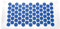 AFH Histamat® Nadelreizmatte | Das Original | ca. 44 x 22 cm | Nadelreizmatte | Akupressurmatte (blau)